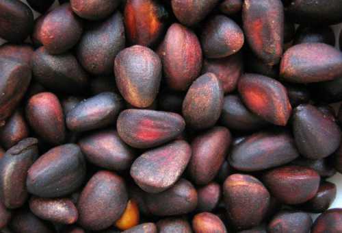 От радикулита помогают г измельченной в порошок сухой скорлупы