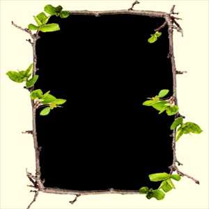 Спустя месяц после активного использования масла грейпфрута для волос, вы заметите, что ваши пряди стали более живыми, блестящими, послушными, шелковистыми, перестали накапливать статическое электричество, выпадение прекратилось, а исходящий от шевелюры нежный аромат обращает на себя пристальное внимание представителей противоположного пола