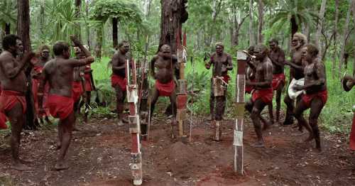 В диких условиях