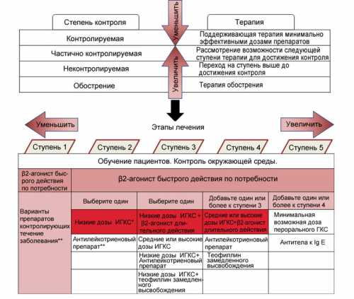 Лечение бронхиальной астмы собственными гормонами