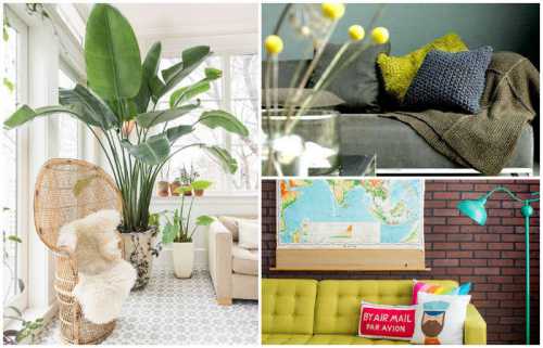 Предпочитает умеренные влажность и полив и с легкостью переносит резкие перепады температур