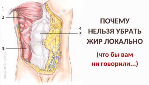 Интересные факты из мира генетики