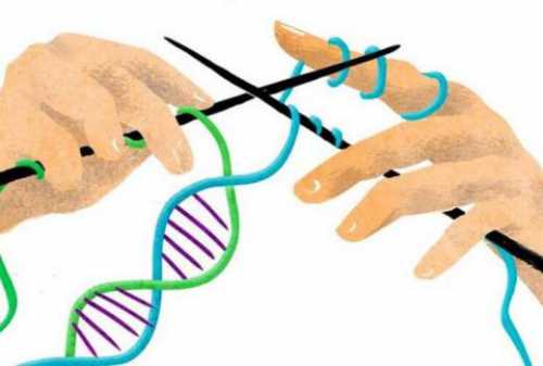 ФАКТЫ ИЗ МИРА ГЕНЕТИКИ: ИДИОТИЗМ НЕ ПЕРЕДАЁТСЯ ОТ ОТЦА К СЫНУ