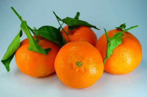 Невозможно прожить без апельсинов