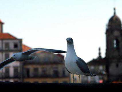 Вплоть до добавления в друзья в социальных сетях и обменом фотографиями