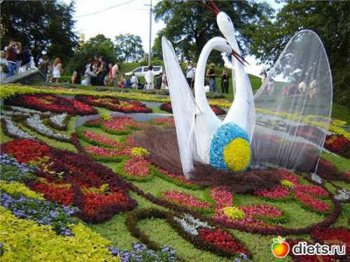 Продуктивное увлечение имеет место при наличии явного самовыражения, например, через творчество, а репродуктивное когда таланты намеренно не демонстрируют, например, коллекционируют марки