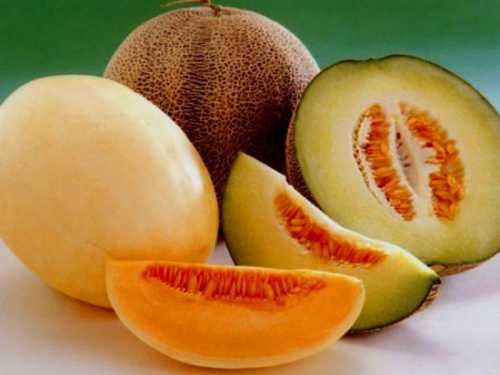 Чем полезна дыня для здоровья и похудения