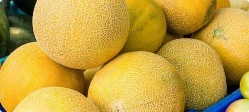 Сок дыни также способен оказывать лечебное действие, являясь отличным мочегонным средством