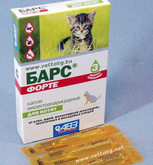 Ваш питомец: как правильно применять капли от паразитов