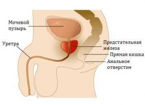 Но какие именно факторы кроме возраста вызывают изменение