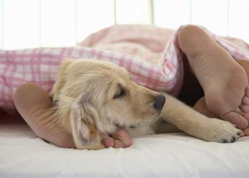Часто это выглядит так, как будто мы отключаемся и выпадаем из процесса те самые мысли о работе