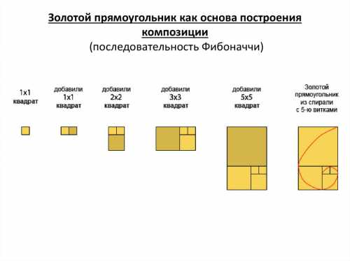Как составить композицию из горшечных растений, виды композиций