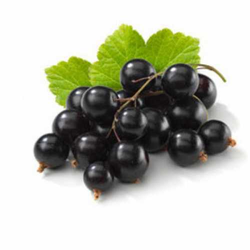 Применение магнитотерапии для здоровья человека