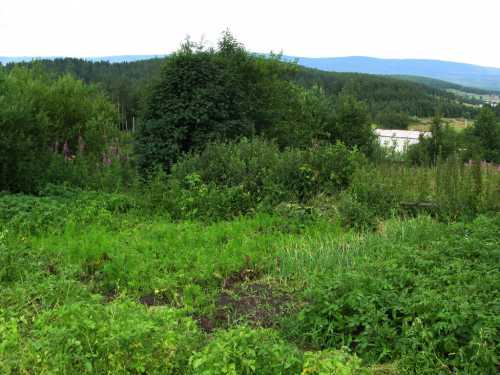 Садовый участок