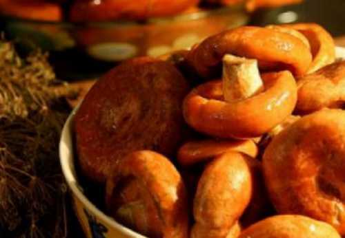 Маринованные рыжики