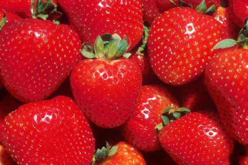 Ягоды клубники вкусные и полезные