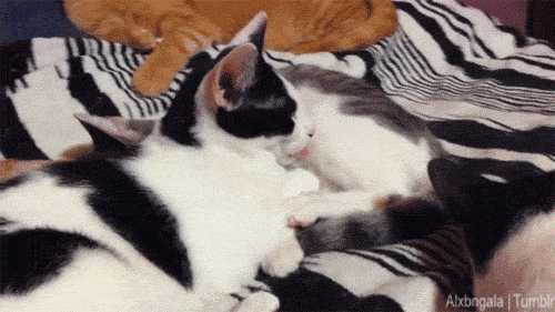 Эти все неловкие вопросы