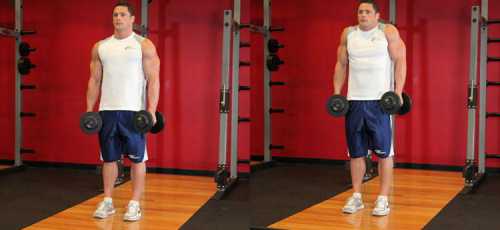 Выполняя шраги можно легко повредить мышцы шеи, если не подобрать вес правильно