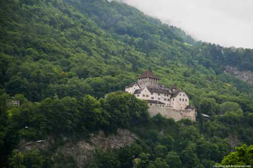 Фальшивомонетчик