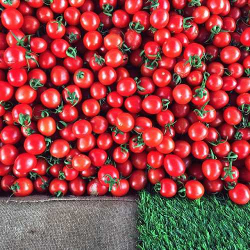 Узнай как приготовить помидоры с аспирином: какие