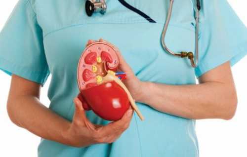 У них различные механизмы влияния и составы, потому специалист укажет, какой лучше принимать для лечения панкреатита в конкретной ситуации степень воспаления железы изменения деятельности иных органов желчный пузырь, кишечник, печень