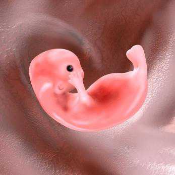 Медикаменто зное прекращение беременности считается наименее травматичным вариантом для женщины, которая вынуждена согласиться на такую процедуру