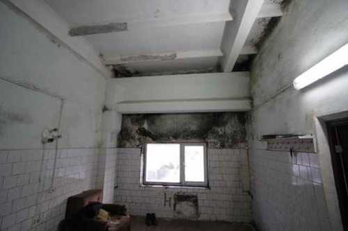 Благополучная атмосфера в доме способна