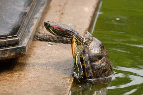 Поначалу они будут против, но со времен освоятся