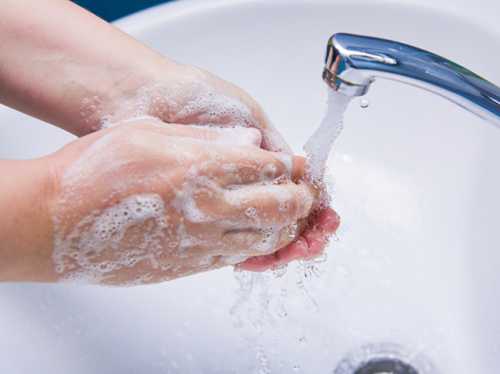 Сушилки для рук — рассадники микробов