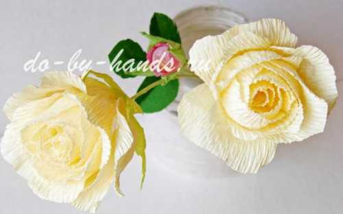 Как сделать розу из гофрированной бумаги своими