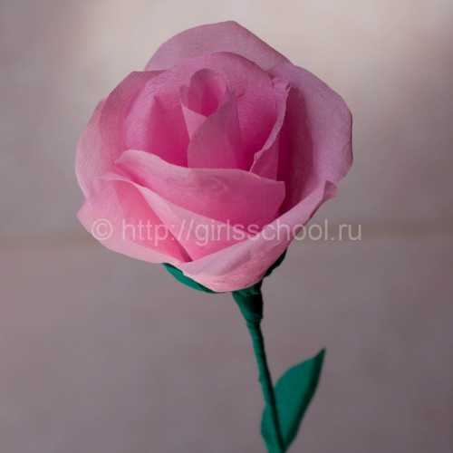 Вырезаем прямоугольник из бумаги