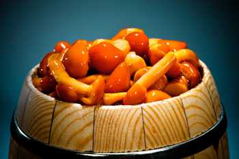 Маринованные опята с уксусом на зиму