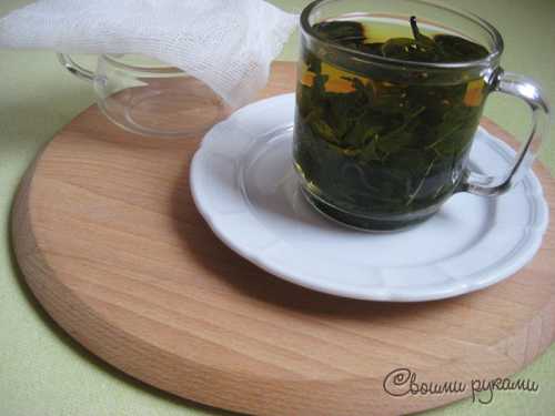 Отвар мяты для лица