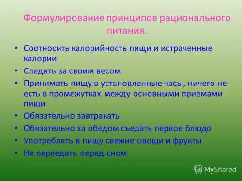 Полезные продукты, как основа принципов рационального питания детей