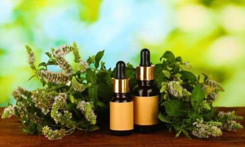 Масло перечной мяты для волос