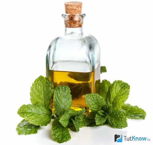 Хотя эфир мяты является масляной жидкостью, он способен нормализовать производство кожного сала