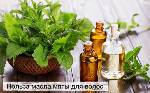 Масло мяты перечной имеет антисептические свойства, это означает его укрепляющее действие на здоровье кожи