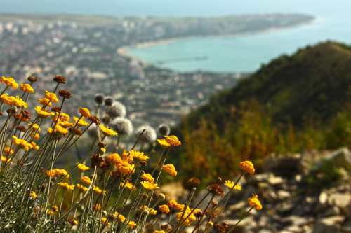 Туризм и путешествия Тревел-гид
