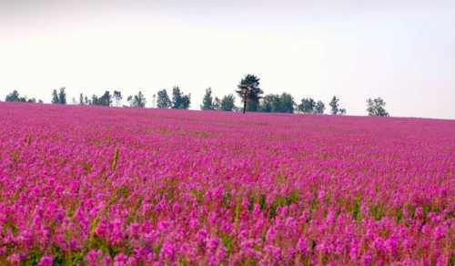 На минеральных курортах