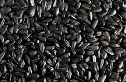 Полине насыщенные кислоты и антиоксиданты замедляют старение клеток и снижают холестерин