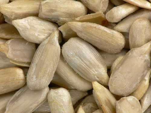 Употребление семян в определенных количествах поможет при токсикозе, но при злоупотреблении может усилиться тошнота