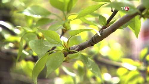 Хоть переезжай