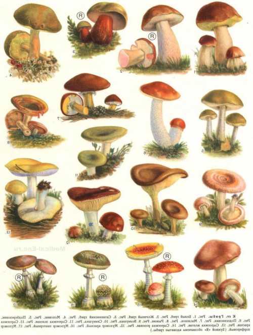 Окончательный диагноз может быть установлен только в стационаре после некоторого наблюдения