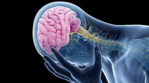 Скажем, пилефлебит дифференцируется с болезнью