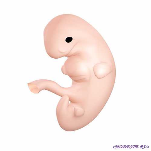 Однако сейчас будет лучше, если ваши интимные отношения будут более спокойными и бережными, а экстренные позы и длительные половые акты лучше оставить на потом