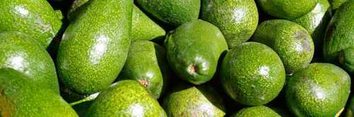 Авокадо для похудения; рецепты, отзывы