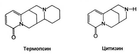 Термопсис от кашля детям
